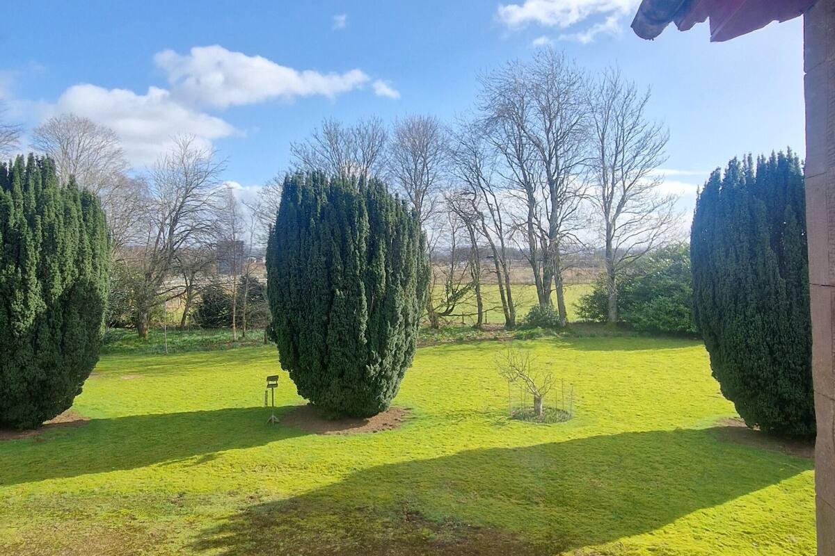 A view from a window overlooking a well-maintained lawn with several mature trees and a clear blue sky.