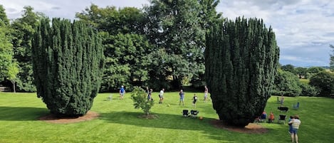 Utsikt mot trädgården