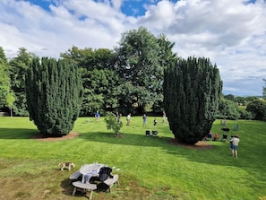A well-maintained lawn with a picnic table and chairs, surrounded by tall trees and a clear sky.