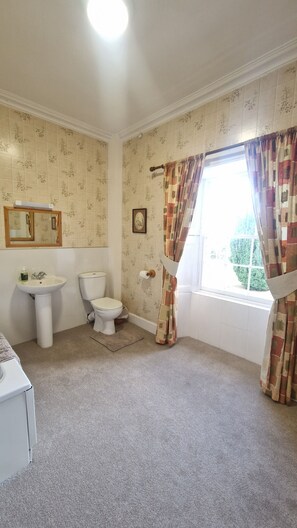 Une salle de bain équipée de toilettes, d’un lavabo et d’un rideau de douche.