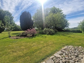 A well-maintained garden with a variety of trees and shrubs, a stone pathway, and a clear sky.