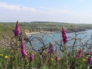 Un paysage côtier avec des fleurs violettes, une plage et des maisons à l’horizon.