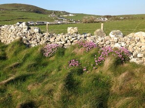 Exterior - Pen y Graig - The Loft B&B (Holyhead)
