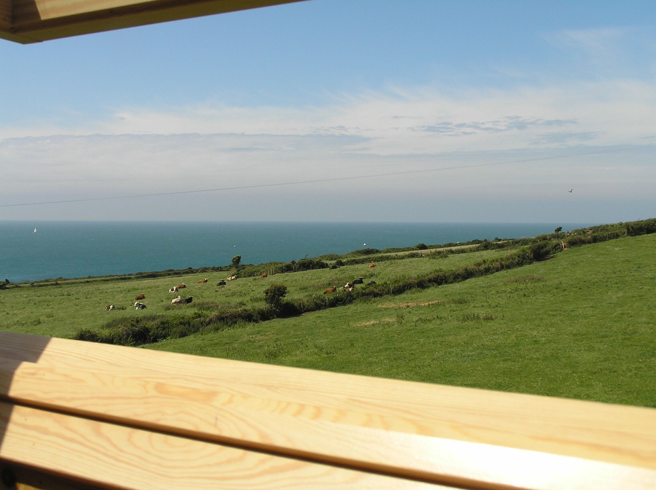 Uitzicht vanaf een houten terras over een grasveld met grazende koeien, een heldere lucht en de zee in de verte.