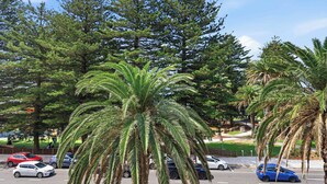 A parking lot with cars, palm trees, and tall evergreen trees. - MetaWiseBnB |Cronulla Beach Walk to Train & Shops1 (Cronulla)