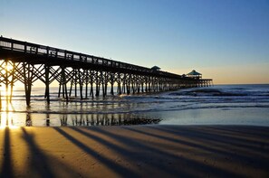 Beach - 2 Bed King Bed/Queen Bed + fenced shady backyard + Fiber Wi-Fi, Walk to King St (Charleston)