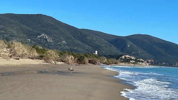 A beach with a sandy shore, waves, and a mountain in the background.