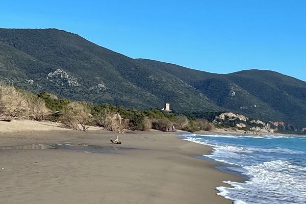Beach