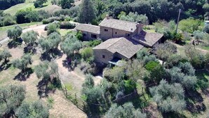 A stone house with a tiled roof surrounded by olive trees and a dirt path.