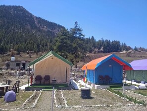 Tent, Mountain View | Property grounds