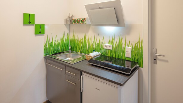 A compact kitchen with a dishwasher, a countertop with a stove, and a wall with a green grass mural. - Vacation apartment Göttingen - modern apartments near the hospital & university (Göttingen)