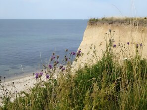 Paisaje costero con una playa arenosa, un acantilado y flores moradas en primer plano.
