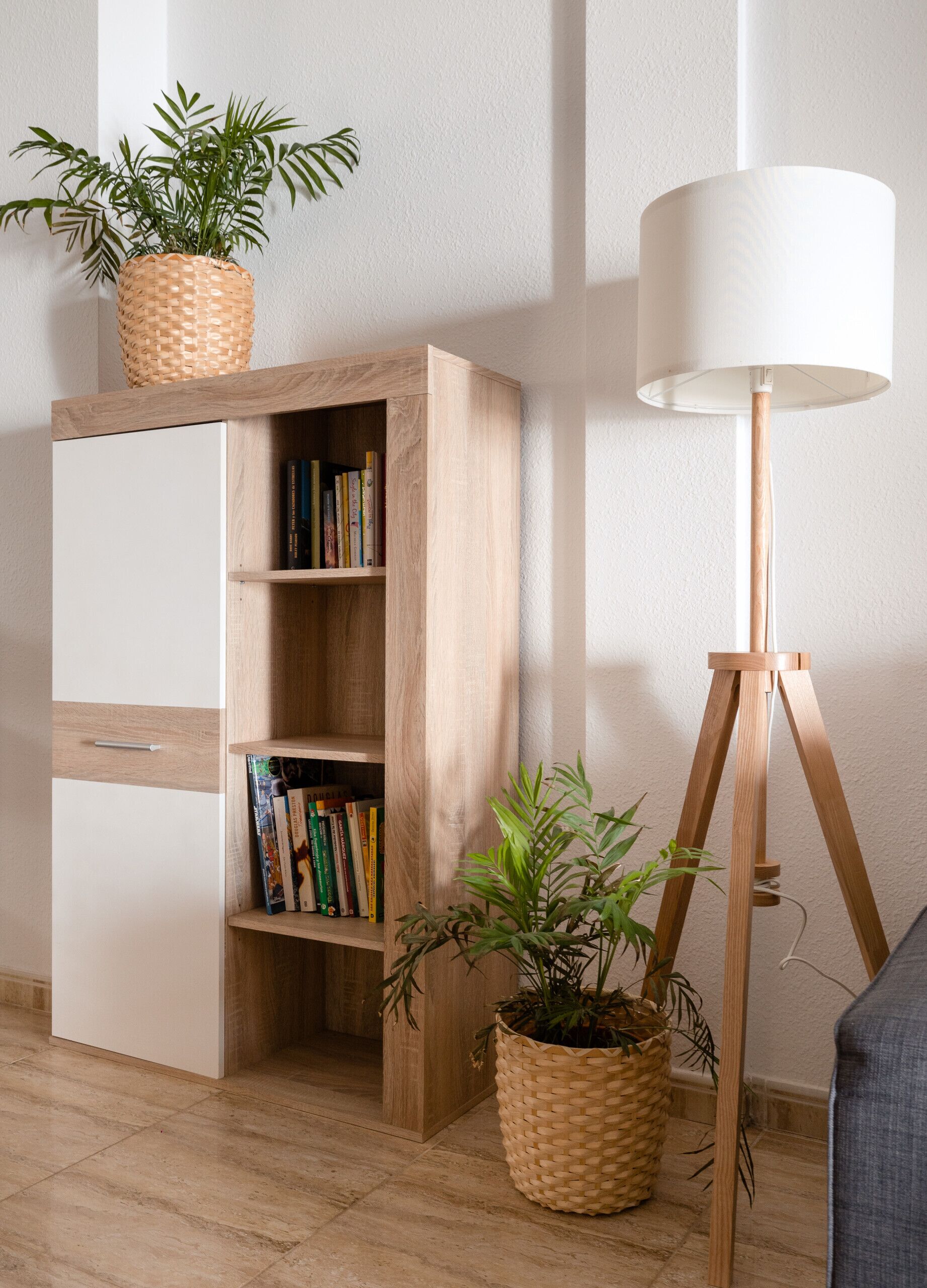 Una habitación con una estantería de madera, una lámpara de pie y dos plantas en macetas.
