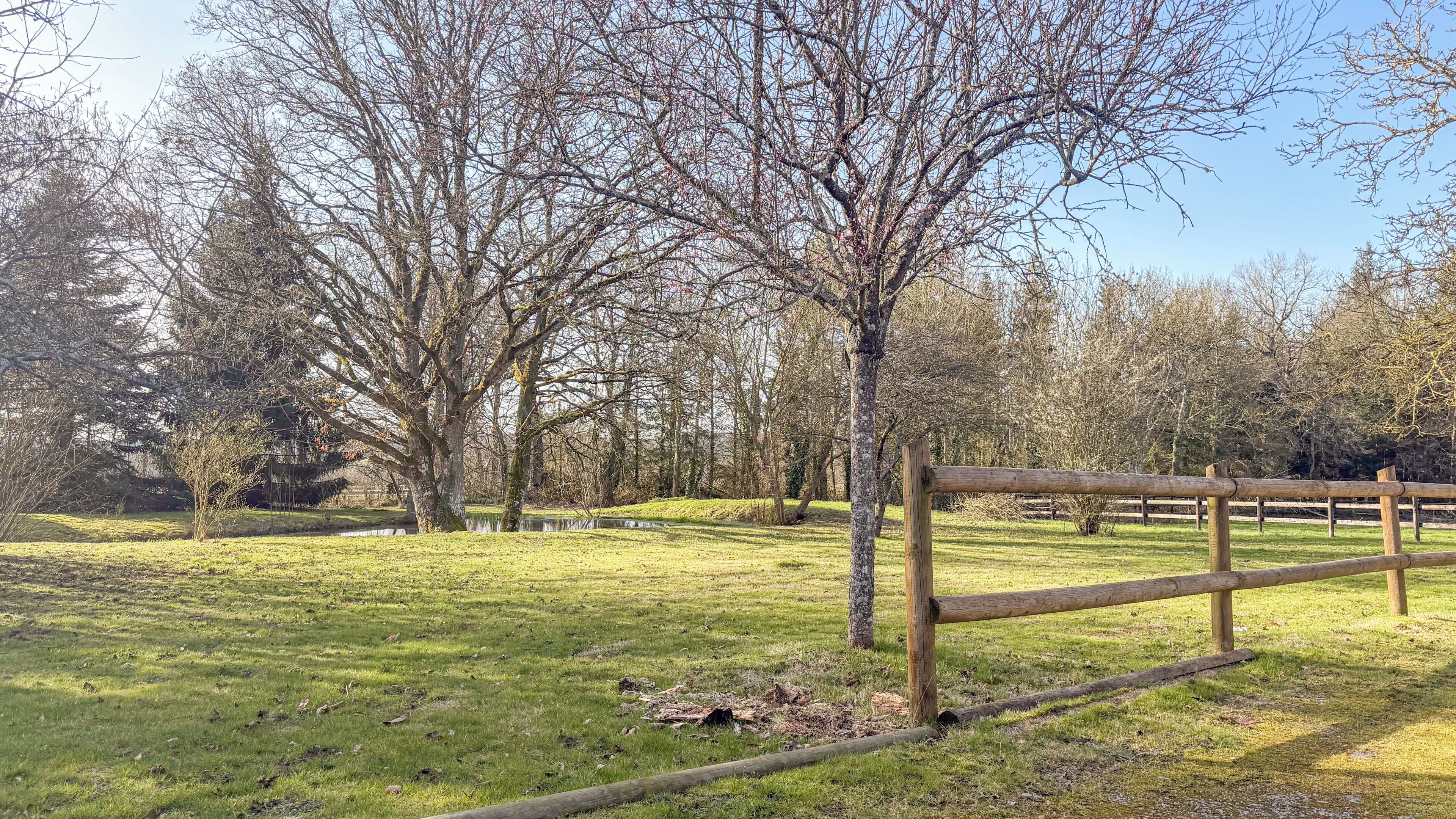 A grassy park area with a wooden fence and leafless trees.