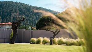 Un jardín ajardinado con diversos árboles y pastos, una valla moderna y un fondo montañoso.