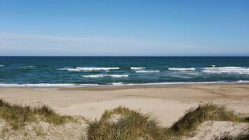 Shared Dormitory, 1 Bedroom, Smoking, Patio | Beach