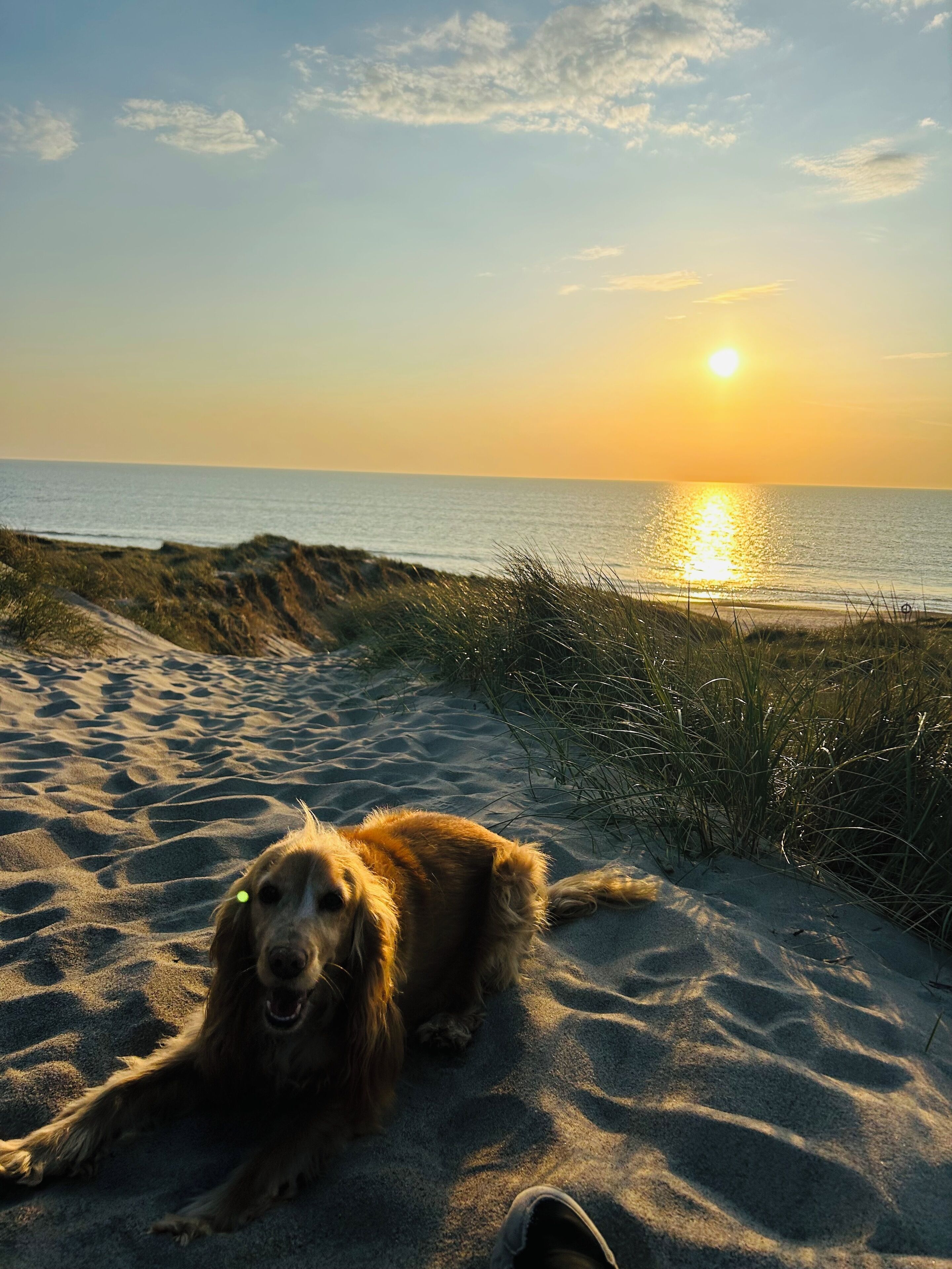 Shared Dormitory, 1 Bedroom, Smoking, Patio | Beach