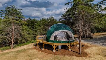 Een geodetische koepeltent met een houten terras, omgeven door bomen en een heldere lucht.