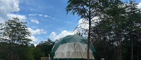 A geodesic dome structure with a wooden deck, surrounded by trees and a clear sky.