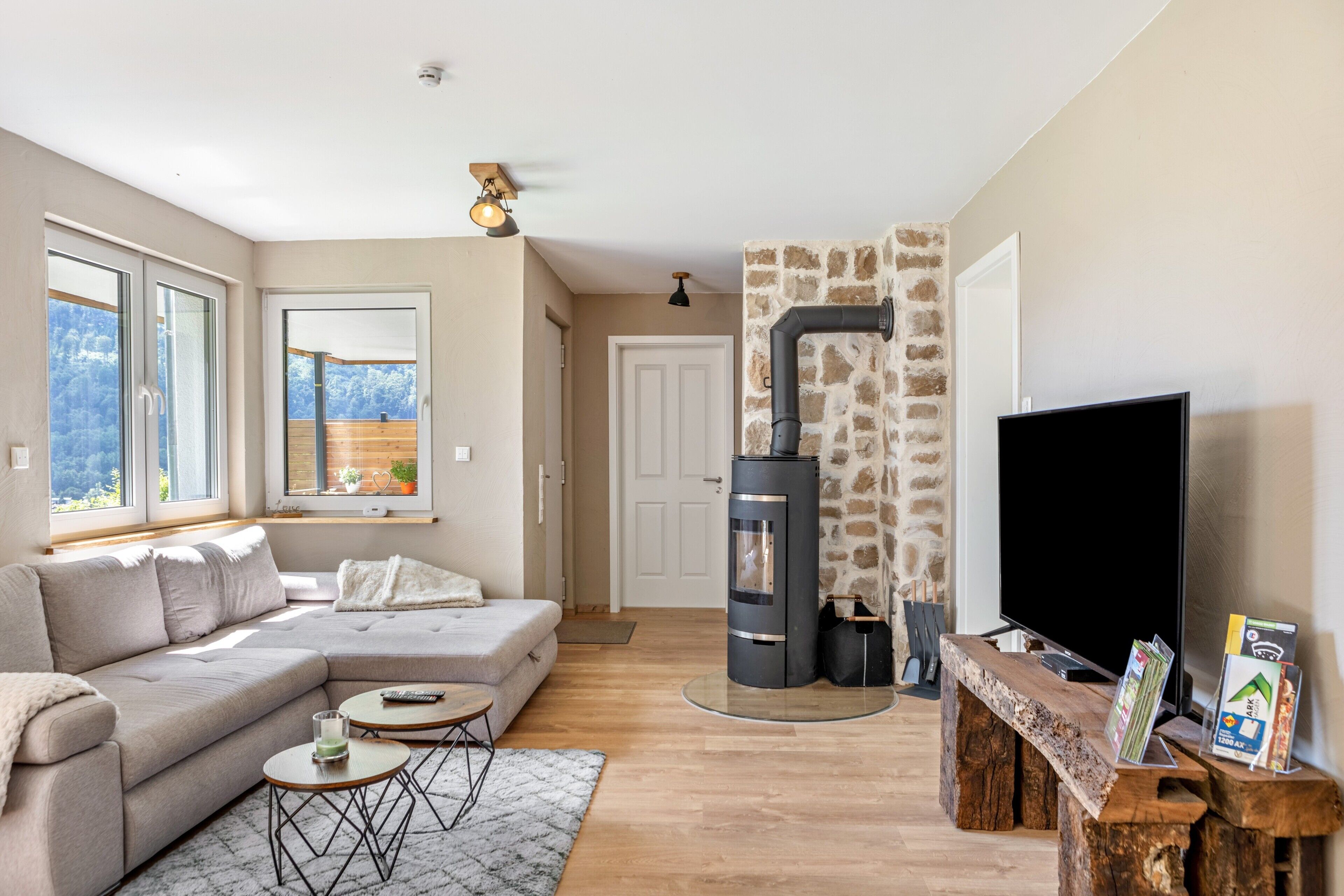 TV, fireplace