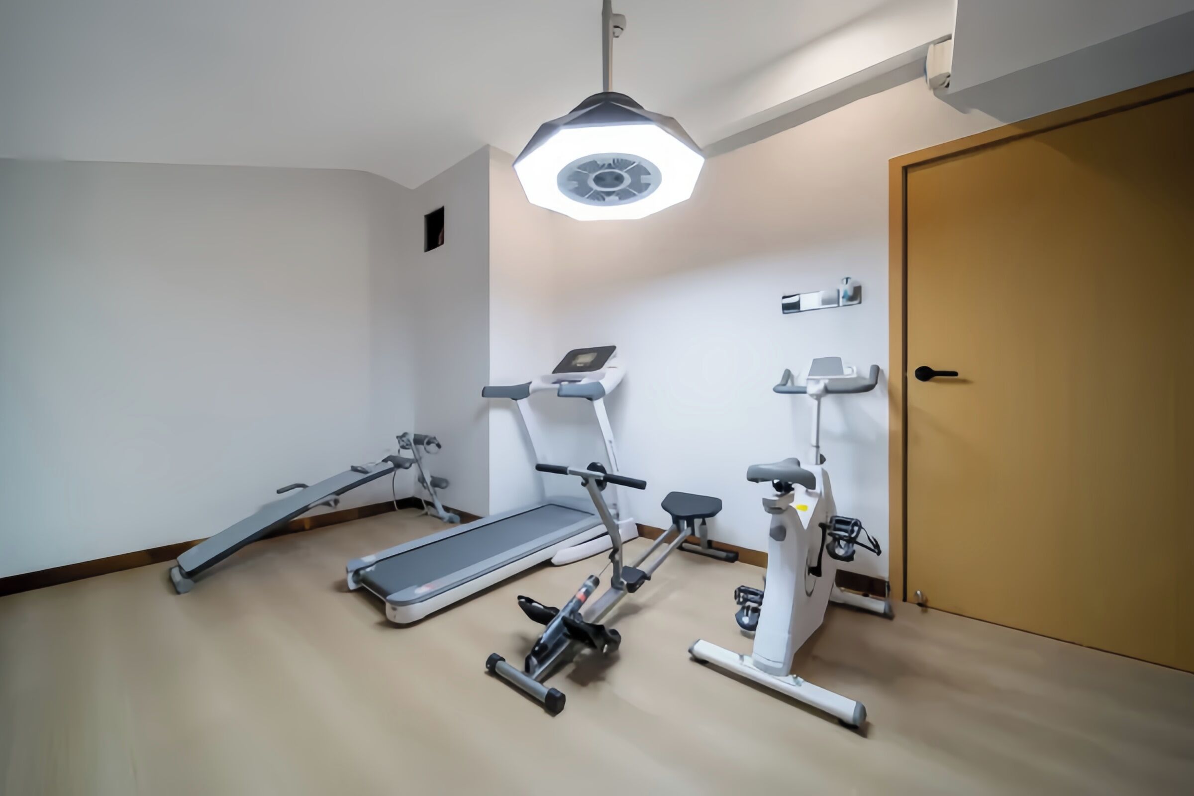 A room with a treadmill, elliptical, and stationary bike, a wooden door, and a ceiling light fixture.