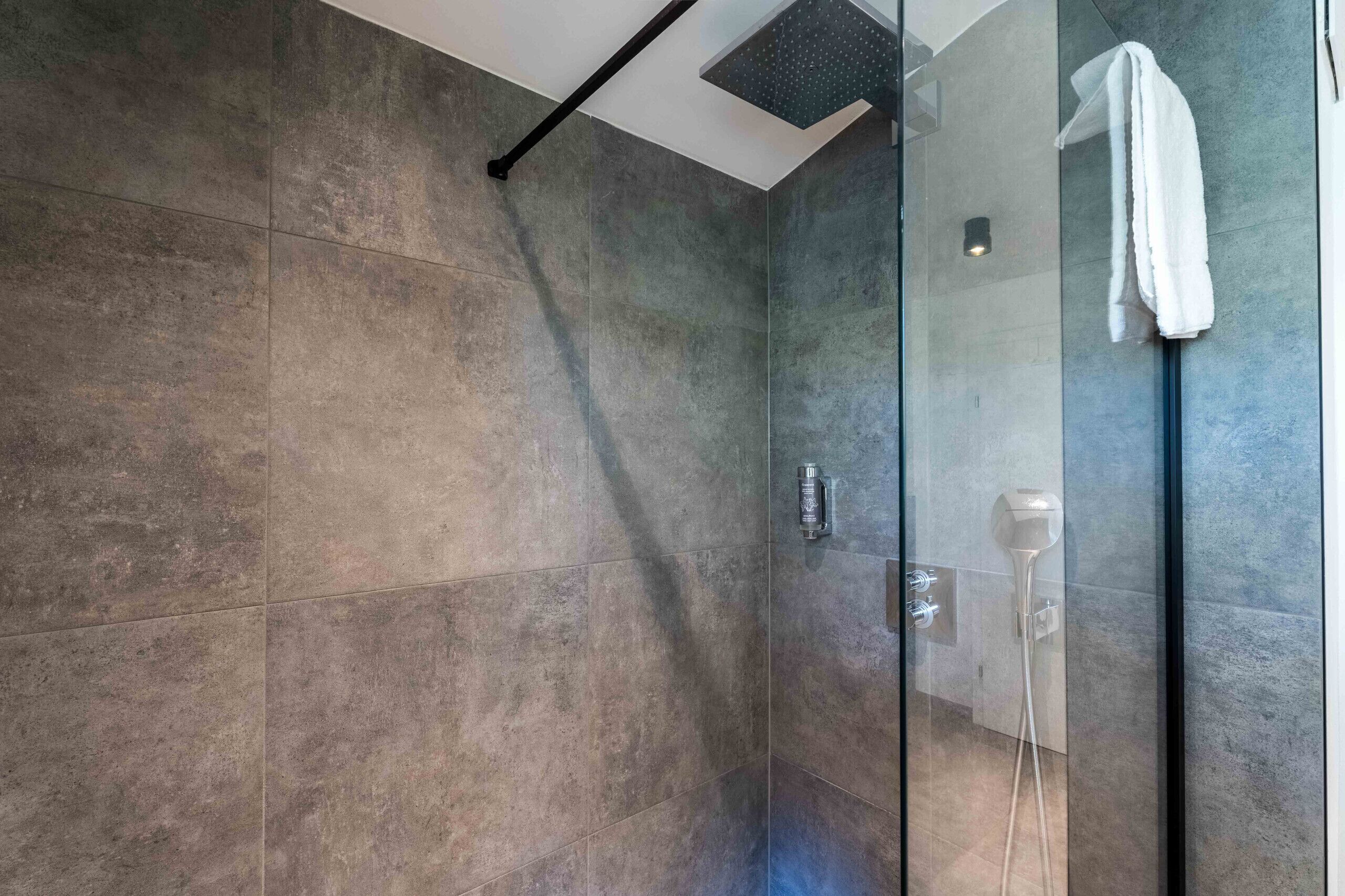 Shower, hair dryer, towels, toilet paper