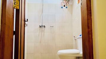 Shower, towels, soap, toilet paper