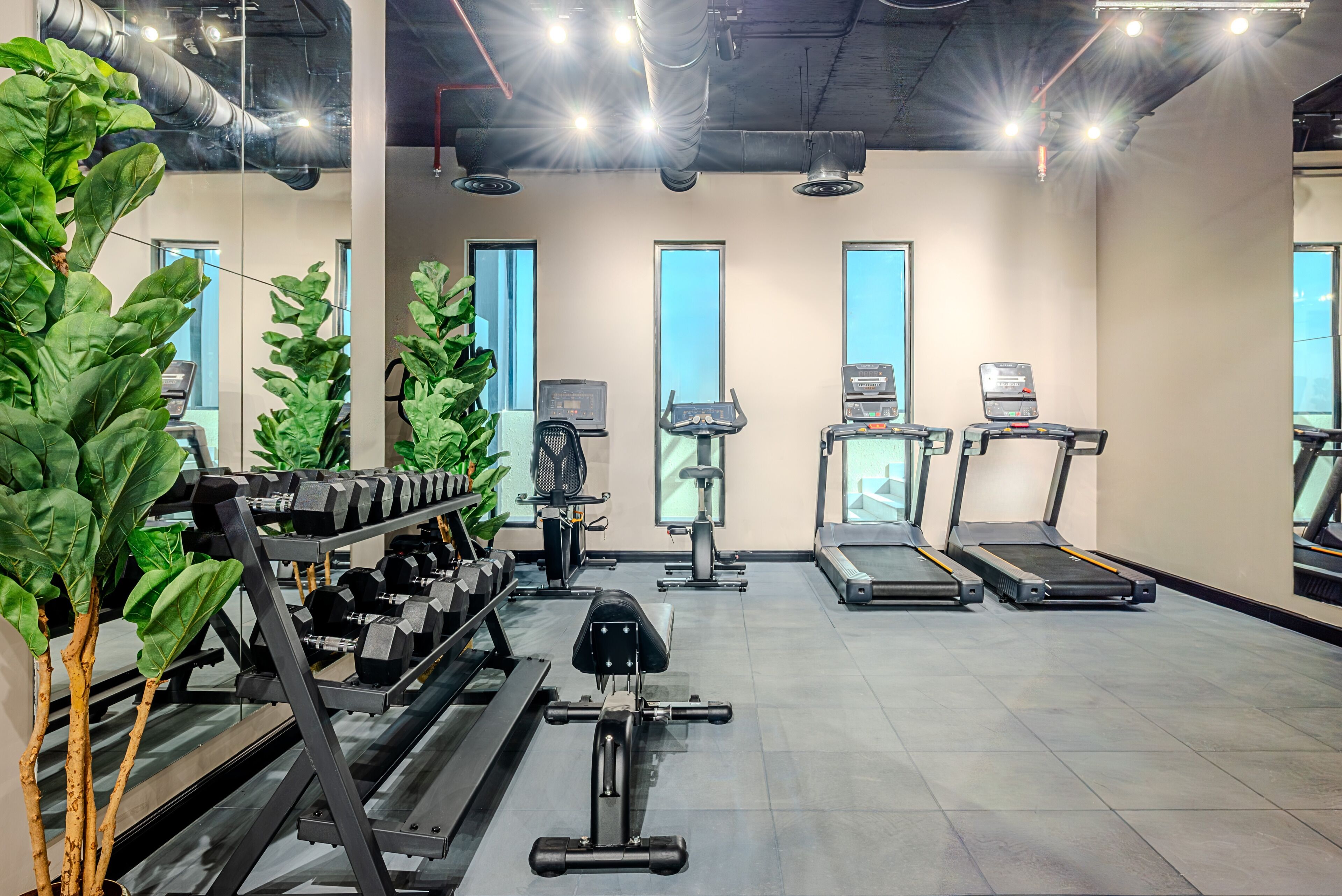 A gym with treadmills, dumbbells, and exercise equipment.