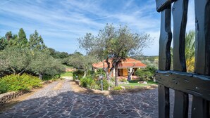 Un sentier pavé de pierres mène à une maison avec un toit rouge, entourée de verdure et d’arbres.