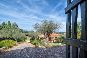 A stone-paved pathway leading to a house with a red roof, surrounded by greenery and trees. - Villa Angiolina - Ideal for 5 people with A/C and Wi-Fi (Sardegna)