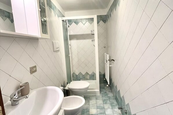 Dusche, Haartrockner, Bidet, Handtücher