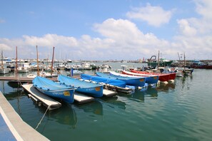 Marina