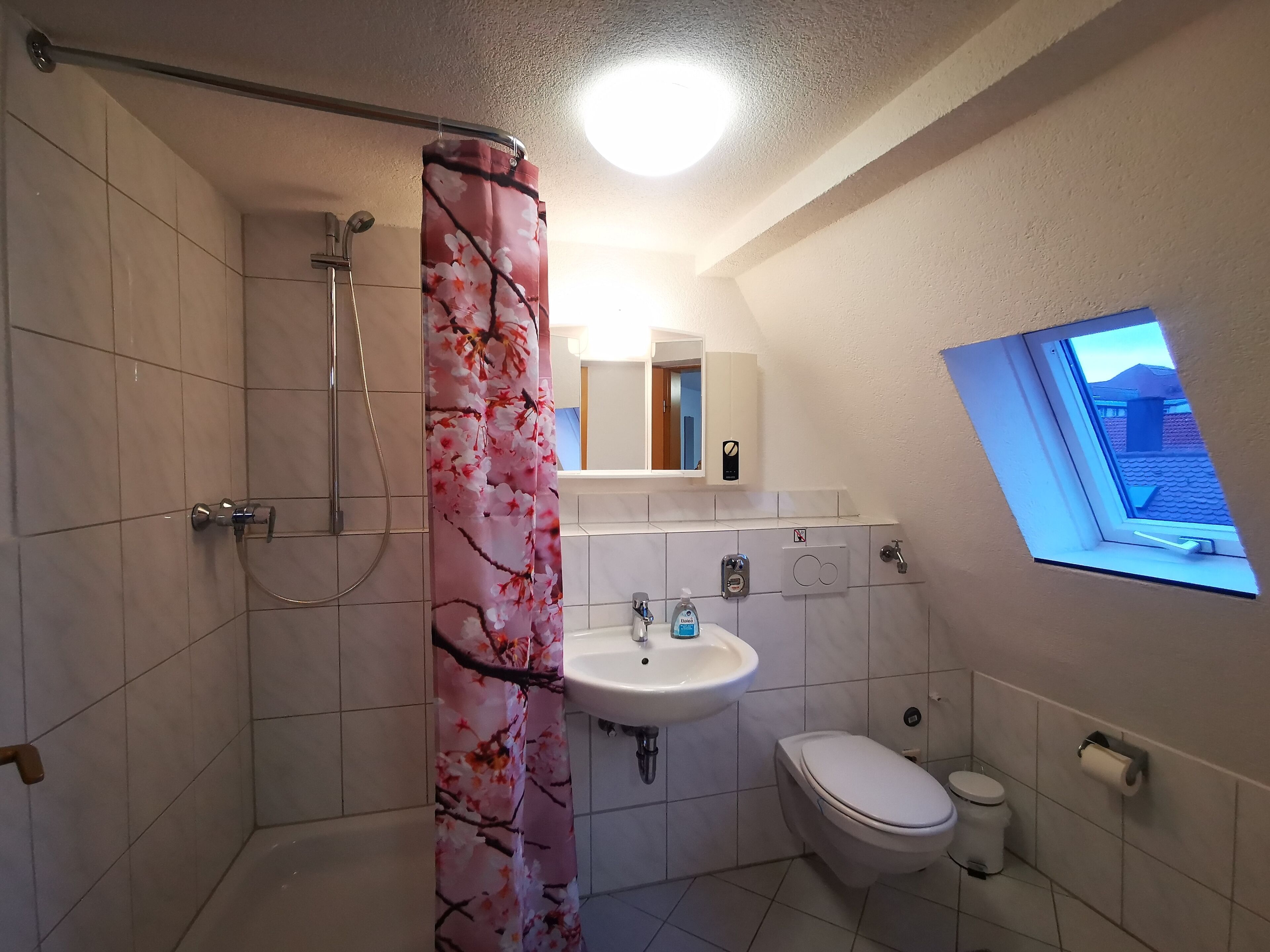 Dusche, Handtücher, Toilettenpapier