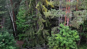 Leilighet, 3 soverom, badstue (Herttuatar) | Utsikt fra rommet