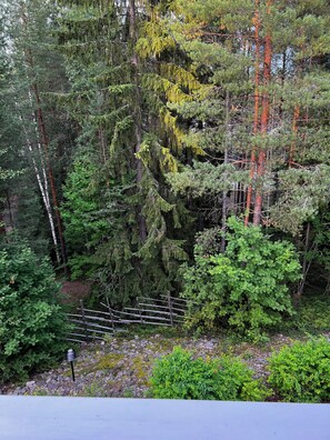 Apartment, 3 Bedrooms, Sauna (Herttuatar) | Pemandangan dari bilik