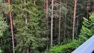 Apartment, 3 Bedrooms, Sauna (Herttuatar) | Pemandangan dari bilik