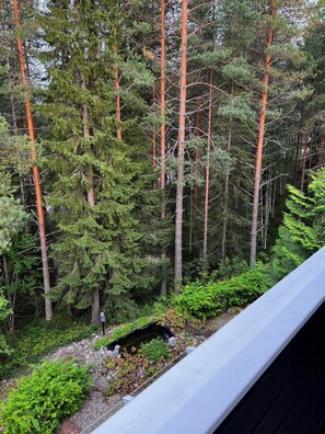 Apartment, 3 Bedrooms, Sauna (Herttuatar) | View from room