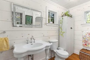 Shower, hair dryer, shampoo