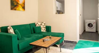 Historic Stone House with Terrace in Kemeraltı