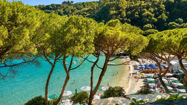 Ein Strand mit klarem türkisblauem Wasser, umgeben von üppigen grünen Bäumen und einer Hügelkuppe.