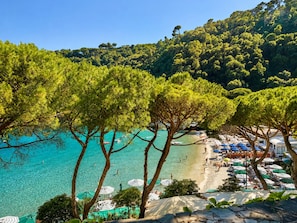 Ein Strand mit klarem türkisblauem Wasser, umgeben von üppigen grünen Bäumen und einer Hügelkuppe.