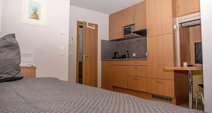 Enjoyable 1-bedroom apartment in beautiful Stuttgart city center W1_P13
