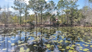 A natural landscape with a pond, trees, and a building in the background. - Tiny Home on Working Farm Near Amelia Island! (Yulee)