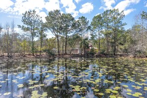 Apartment (0 Bedroom) | Interior - Tiny Home on Working Farm Near Amelia Island! (Yulee)