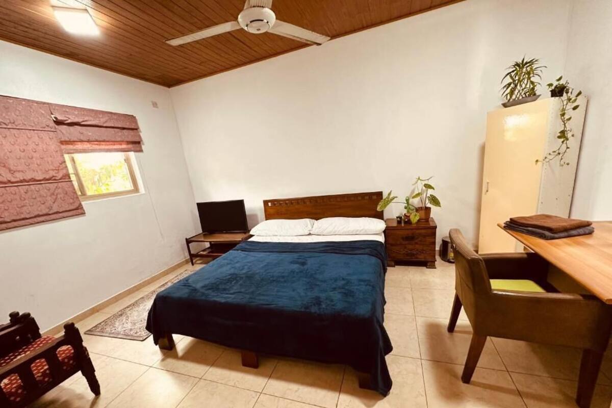 A bedroom with a bed, bedside table, chair, desk, and a ceiling fan.
