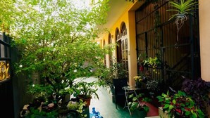 A courtyard with potted plants, a small table, and a chair.