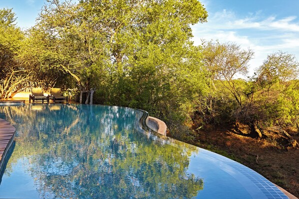 Outdoor pool - Last Word Makanyane (Thabazimbi)