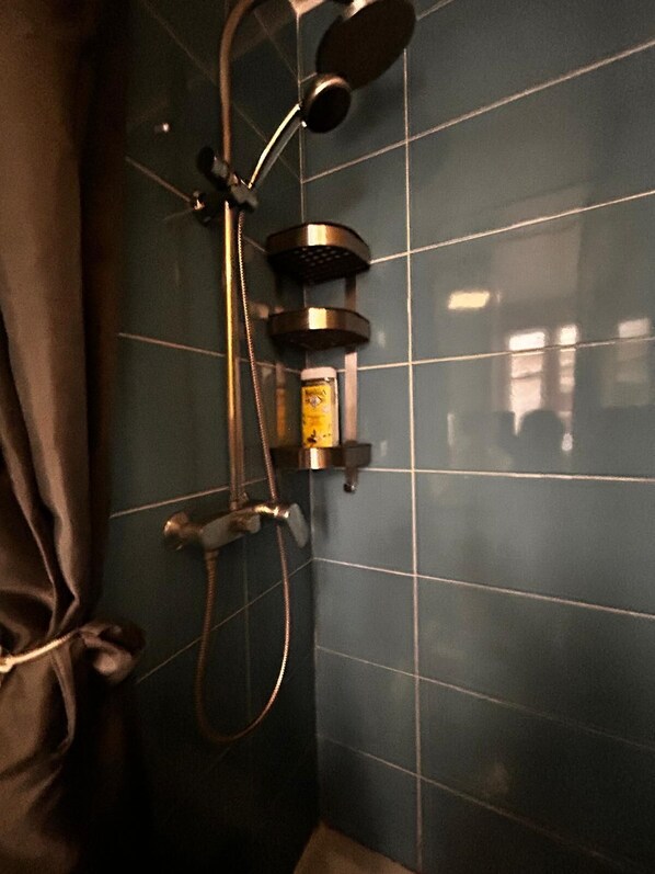 Shower, hair dryer, towels, toilet paper