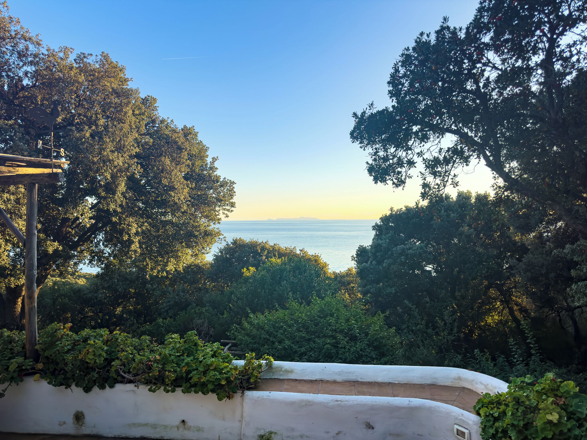 A coastal view with trees and a white wall in the foreground.