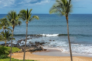 A beach with palm trees and rocky shoreline. - Polo Beach Club 703 2 Bedroom Condo (Kihei)